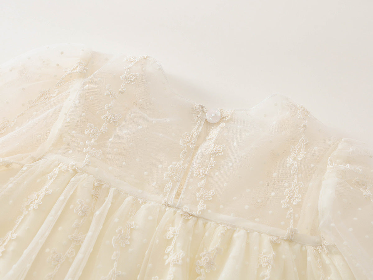 Girl's Sheer Dot Tulle Toddler Party Dress - K6116048