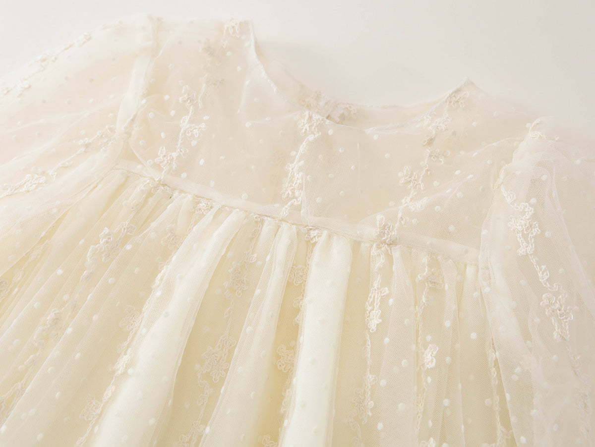 Girl's Sheer Dot Tulle Toddler Party Dress - K6116048