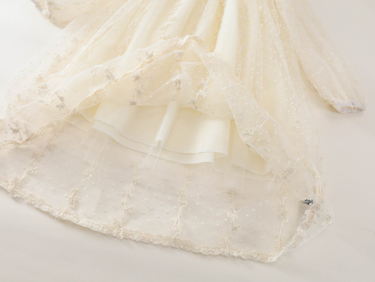 Girl's Sheer Dot Tulle Toddler Party Dress - K6116048