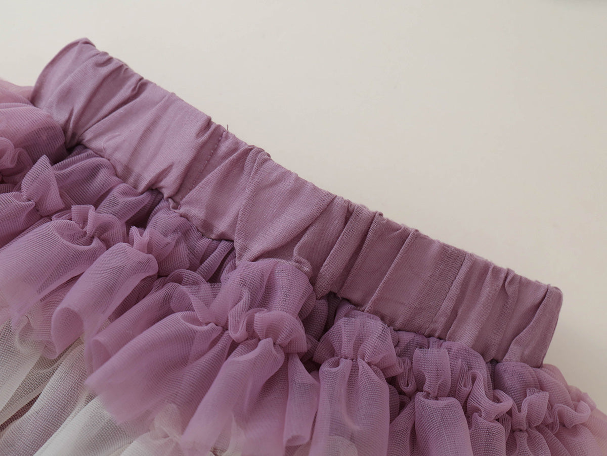 Toddler Girl Purple Ombre Layered Tulle Tutu Skirt - K6126167